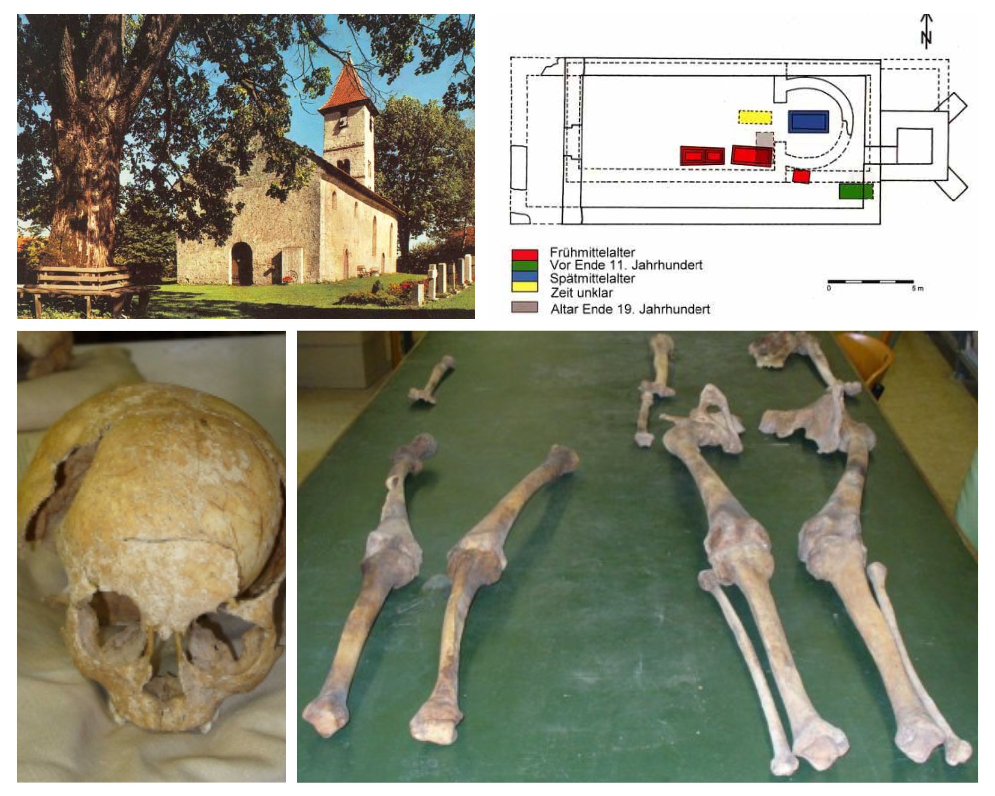 gräberfunde in der alten michaelskirche mit schädel und gebeinen